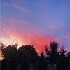 maggie_wachell